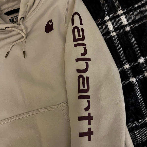 relaxed, fit Carhartt hoodie with purple writing size small - Picture 2 of 3